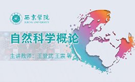 十大信誉老品牌网页版帮助中心 域名备